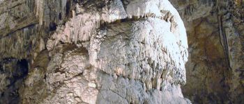 Point d'intérêt Rochefort - Domaine des Grottes de Han - Photo