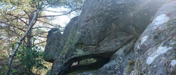 Punto de interés Fontainebleau - Un drôle de monstre préhistorique. Dans la montée hors piste - Photo