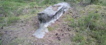 Point d'intérêt Fontainebleau - 09 - Un banc paléolitique pour se reposer - Photo