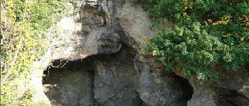 Point d'intérêt Jemeppe-sur-Sambre - La grotte de l'Homme de Spy - Photo