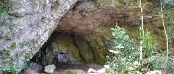 POI Puivert - grotte du maquis - Photo