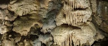 POI Hotton - Grotten van Hotton - Photo