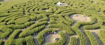POI Durbuy - The park of mazes of Barvaux - Photo