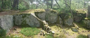 Point d'intérêt Fontainebleau - 20 - Un front de taille et le début d'une construction d'abri - Photo