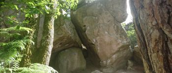 Point d'intérêt Fontainebleau - 09 - (*) Grotte de Barbe-Bleue - Photo