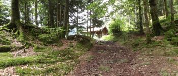 Point d'intérêt Sewen - Schahling hutte - Photo
