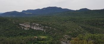 Point d'intérêt Tourves - la montagne de la Loube - Photo