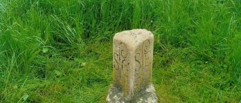 Punto di interesse Vergigny - Unnamed POI - Photo
