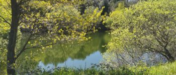 POI Collobrières - petit lac - Photo