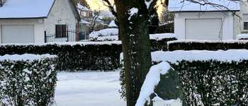 Punto de interés Hannut - Monument - Photo