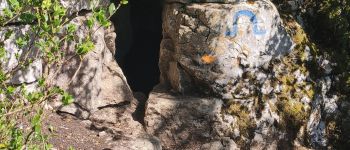 Point d'intérêt Pasques - Grotte-des-Célerons_(Puit) - Photo