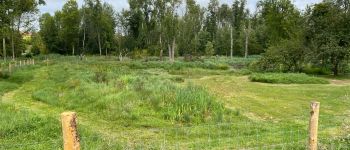 POI Estouy - Marais du moulin de la porte sentier de découverte  - Photo