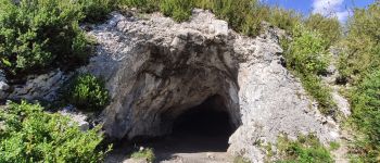Point d'intérêt Pasques - Grotte-des-Célerons_2 - Photo