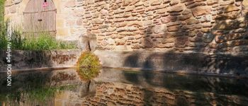 Punto di interesse Val d'Oingt - Lavoir du Paradis - Saint-Laurent d'Oingt - Photo