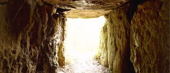 Point of interest Bannay - Dolmen du Reclus - Photo