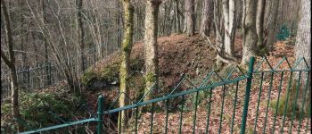 Point d'intérêt Marche-en-Famenne - Trotti aux Fosses - Photo