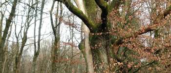 POI Havelange - Unnamed POI - Photo