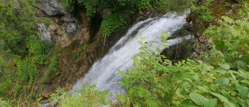 Point of interest Montriond - Cascade - Photo