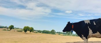 Point d'intérêt Aubel - 4880 Messitert vue sur les prés - Photo