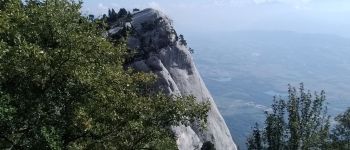 Point d'intérêt Chapareillan - les griffes de l'ours - Photo