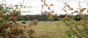 POI Genepiën - Vue sud-est dans la Rue de Fonteny - Photo