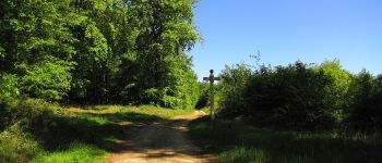 Point d'intérêt Trosly-Breuil - Point 21 - Photo