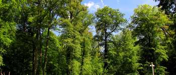 Point d'intérêt Tracy-le-Mont - Point 15 - Photo