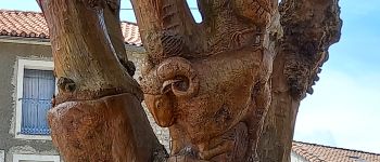 Punto di interesse Le Caylar - arbre sculpté  - Photo