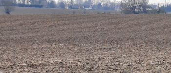 Punto di interesse Villers-la-Ville - Vue sur le clocher de l'église de Marbais et les éoliennes - Photo