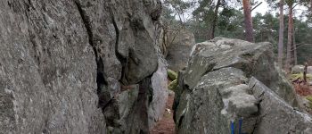 Punto de interés Fontainebleau - Unnamed POI - Photo