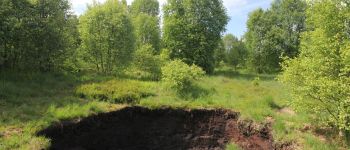 Point d'intérêt Waimes - Sur les traces des Trouffleurs  - Photo