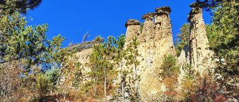 Point d'intérêt Remollon - Demoisselles Coiffées - Photo