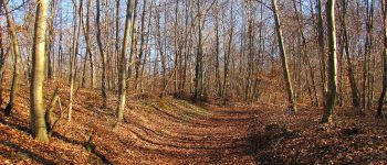 Punto de interés Saint-Jean-aux-Bois - Point 16 - Photo