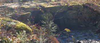 Point of interest Chaveroche - Le pont planche - Photo
