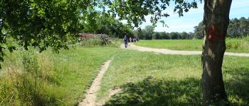 POI Grez-Doiceau - Vue sud dans la Verte Voie - GR 579 Bxl-Liège - Photo