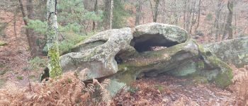 Point d'intérêt Fontainebleau - rocher du Mont Merle - Photo