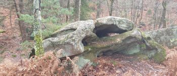 Point of interest Fontainebleau - Unnamed POI - Photo