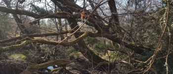 POI Rion-des-Landes - Unnamed POI - Photo