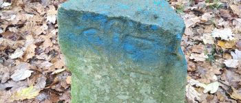 Punto di interesse Vergigny - Borne ZC - Bleue du Milieu - Photo