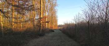 Point d'intérêt Saint-Jean-aux-Bois - Point 1 - Photo