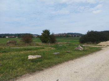 Trail Walking Lay-Saint-Christophe - La Bouzoule - Photo