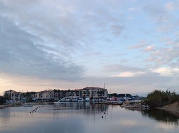 Randonnée Marche Argelès-sur-Mer - raccou - plage de l'ouillet par terre, retour par sentier littoral - Photo