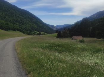 Tour Wandern Châtillon-en-Diois - vallon de combau  - Photo