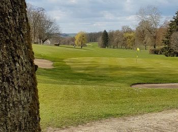 Randonnée Marche Vittel - Vittel 11 : Les golfs - Photo