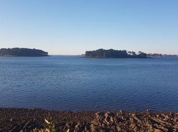 Excursión Senderismo Larmor-Baden - LARMOR BADEN les 7 îles  - Photo