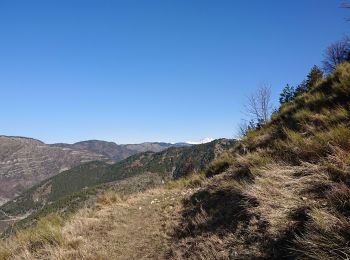 Tocht Stappen Lucéram - Luceram Caire et col de Brauss - Photo