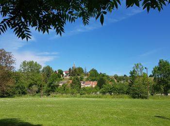 Tour Wandern Mont-Saint-Père - Mont st Père du 29/05/2021 - Photo