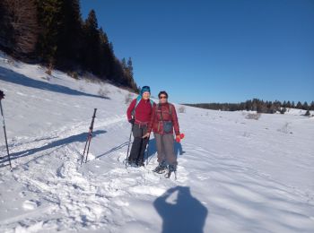 Excursión Raquetas de nieve Bellecombe - les trois cheminees - Photo