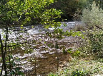 Trail Walking Savignac-les-Ormeaux - balade autour de l' Ariège  - Photo