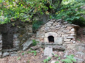 Tocht Stappen Mons - chapelle St Martin du froid - Photo